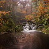 Autumn in the Ardennes